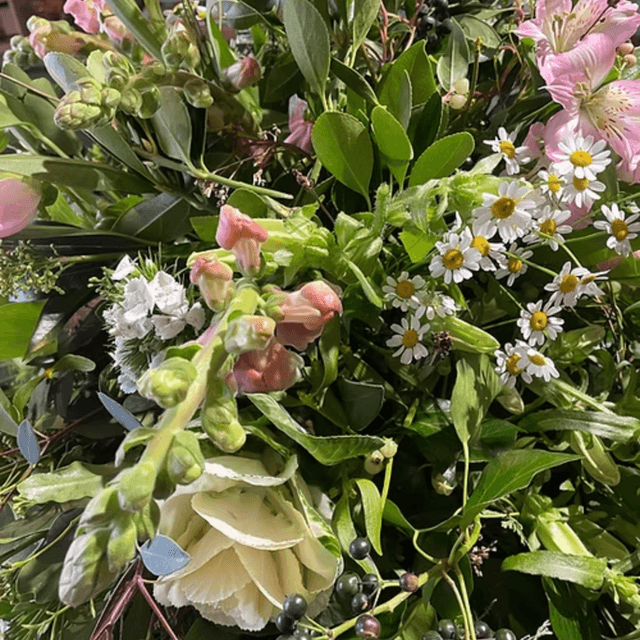 Seasonal Choice